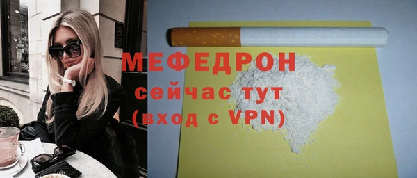 мдпв Ладушкин