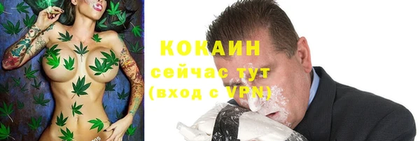 мдпв Ладушкин