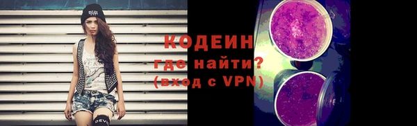 мдпв Ладушкин