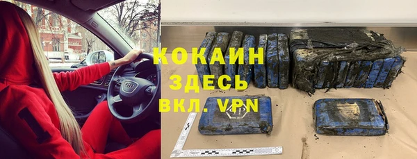 мдпв Ладушкин