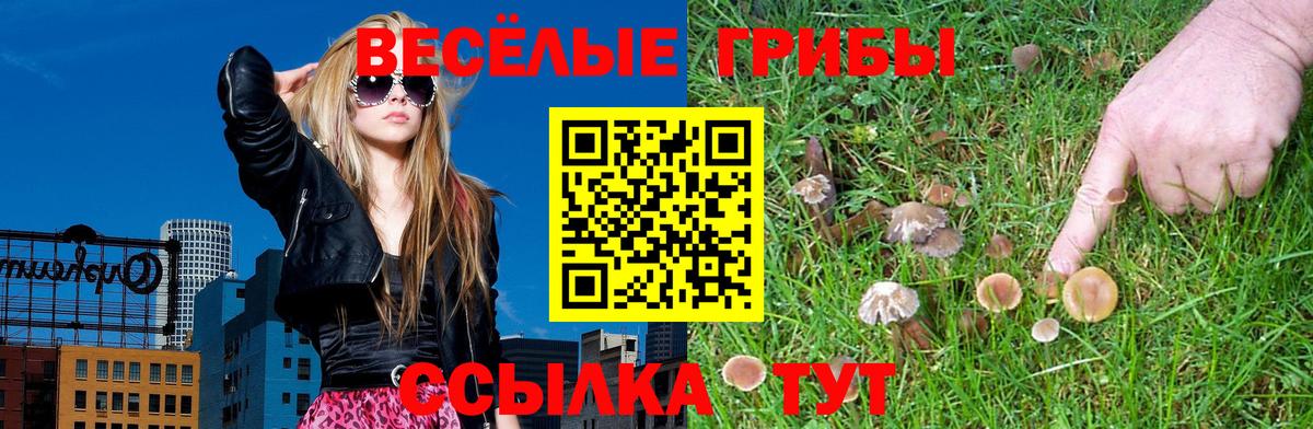 Галлюциногенные грибы Psilocybine cubensis  Вход с VPN  Ипатово 