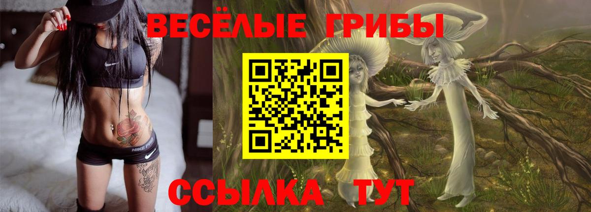 Галлюциногенные грибы мицелий Ипатово